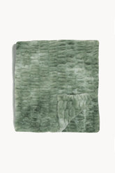 Lily Pad