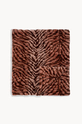Terracotta Zebra