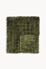 Fern Green