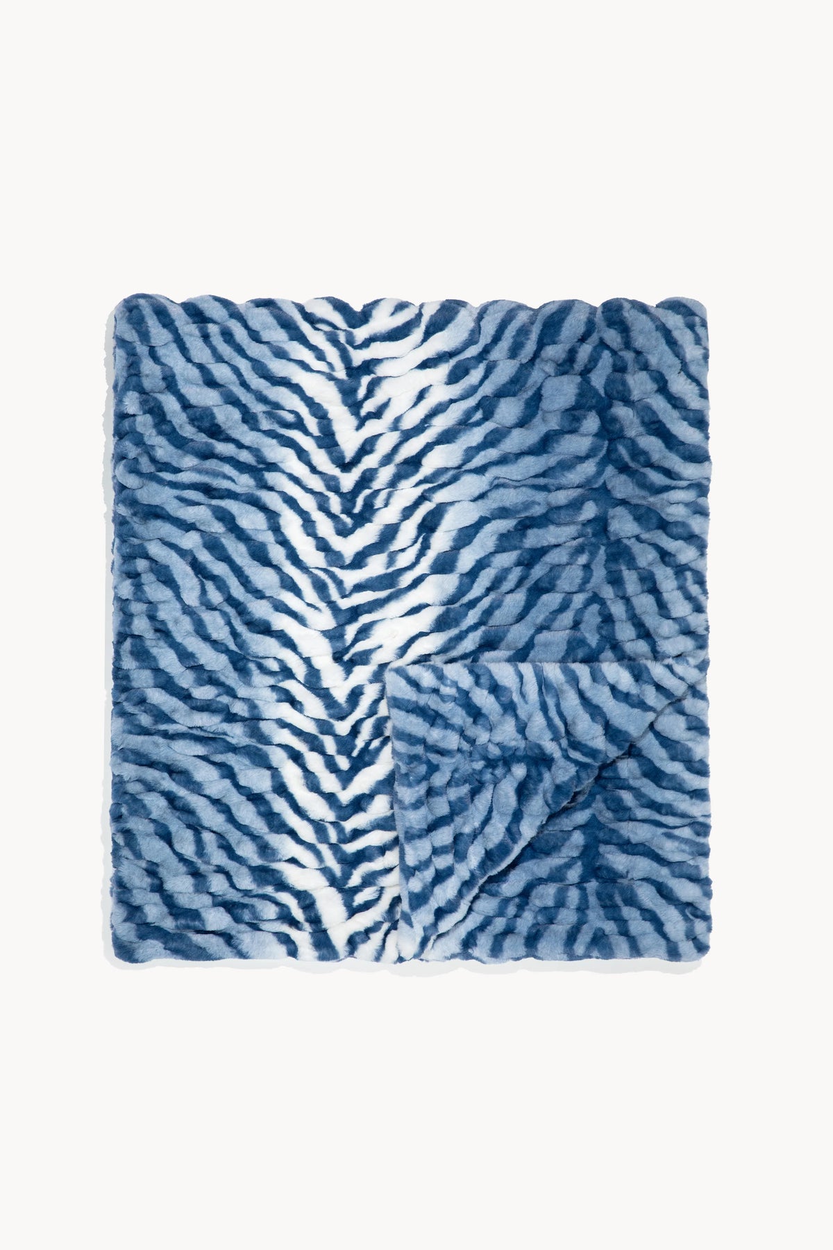 Blue Zebra