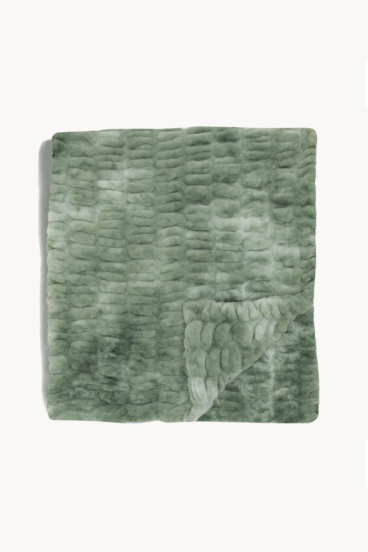 Lily Pad