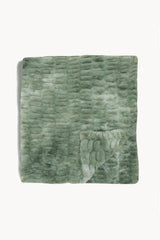 Lily Pad