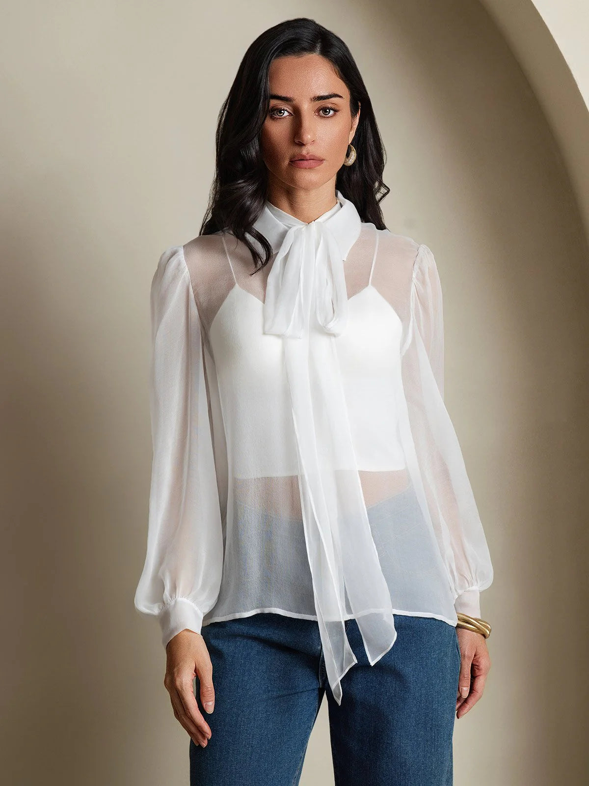 Pure Silk Chiffon Women's Lantern Sleeve Tie Neck Sheer Blouse