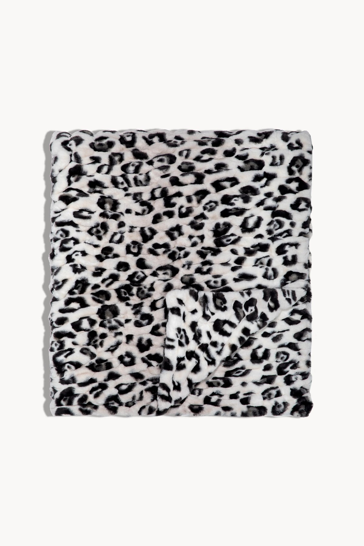 Snow Leopard